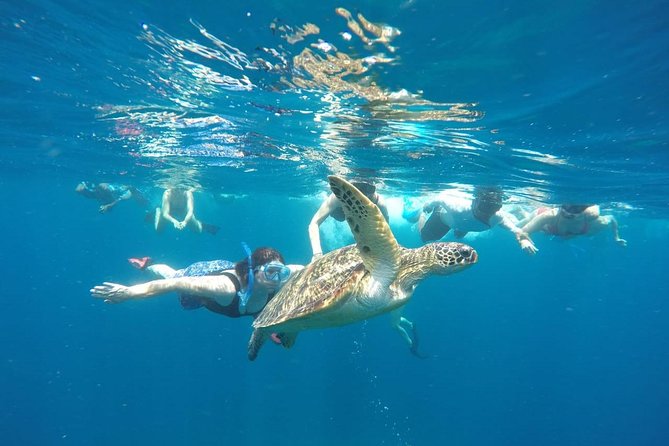 Snorkeling Tour In Gili Trawangan, Gili Meno And Gili Air Pick Up From Bali - Key Highlights Worth Noticing