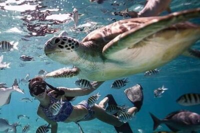 Snorkeling Tour In Gili Trawangan, Gili Meno And Gili Air Pick Up From Bali - Price and What You Actually Get for $275