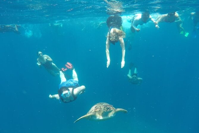 Snorkeling Tour In Gili Trawangan, Gili Meno And Gili Air Pick Up From Bali - The Real Schedule: Three 30-Minute Snorkels, One Long Day