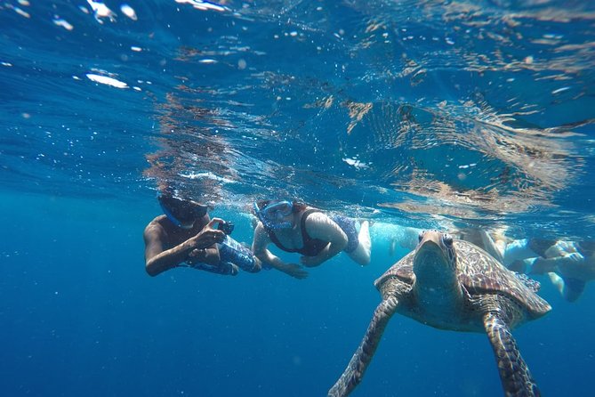 Snorkeling Tour In Gili Trawangan, Gili Meno And Gili Air Pick Up From Bali - Weather, Crowd Flow, and What to Pack