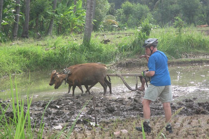 Snorkeling & Trekking at West Bali National Park - Monsoon forest walking: how to spot wildlife without getting frustrated