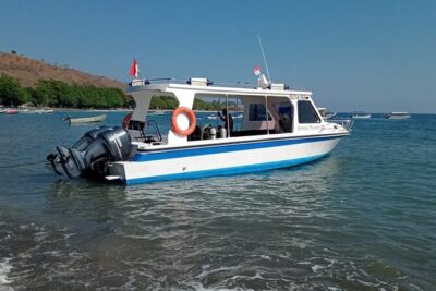 Snorkeling Trip to Menjangan Island - What’s included: gear, lunch, towels, and drinks that don’t ruin your day