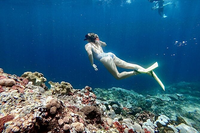 Snorkeling Trips with Manta Ray from Nusa Lembongan - Stop 2 at Toya Pakeh Wall: the fish stop that makes photographers happy