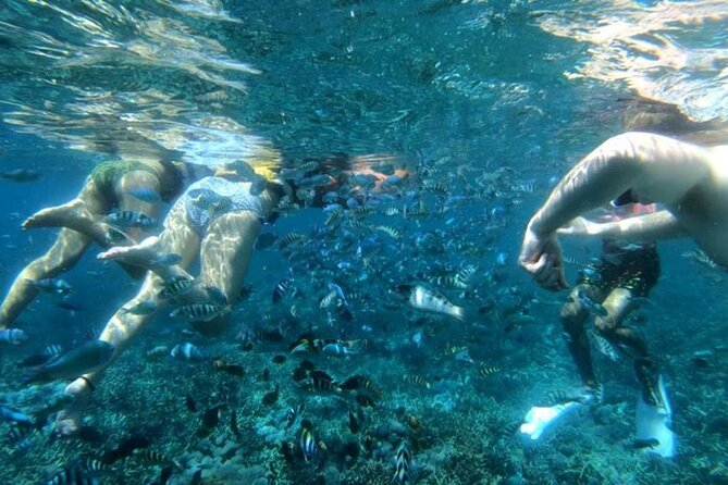 Snorkeling Trips with Manta Ray from Nusa Lembongan - Safety and comfort: the staff habits that make or break a snorkel day