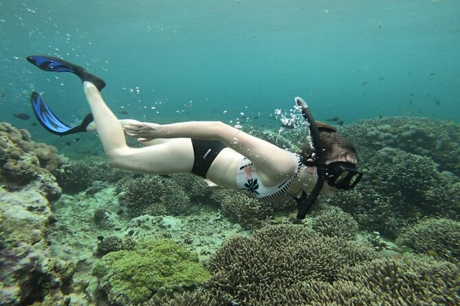 Snorkeling Trips with Manta Ray from Nusa Lembongan - The day’s flow: what 3 to 4 hours feels like in practice