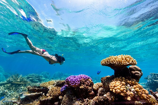 Snorkeling with Manta Rays in Nusa Penida Experience (All-Inclusive) - Price and value: what $210.97 buys you in the real world