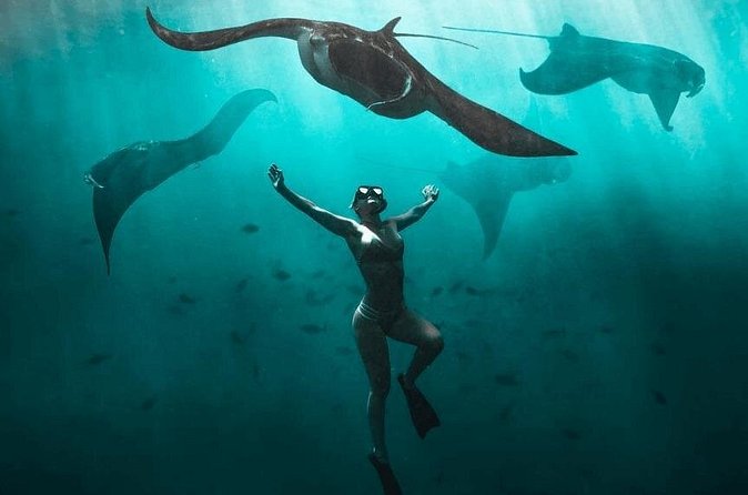 Snorkeling with Manta Rays in Nusa Penida Experience (All-Inclusive) - Sanur to Nusa Penida: fast boat timing and how it affects your day