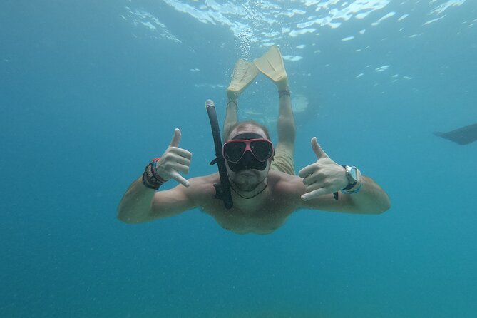 Snorkeling with turtle and statue in Gilis - Turtle-and-statue snorkeling around Gili Trawangan: why this trip works