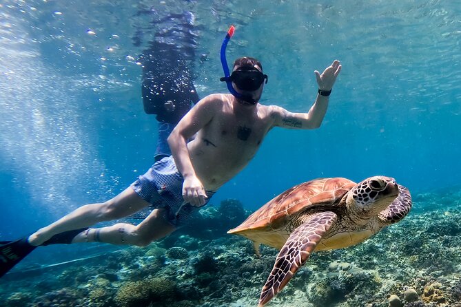 Snorkeling with turtle and statue in Gilis - What happens on the boat: glass-bottom viewing and safety support
