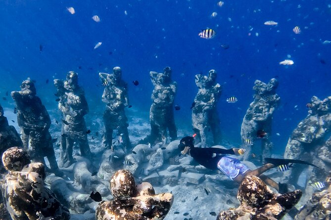 Snorkeling with turtle and statue in Gilis - Price and value: what $55 actually buys you