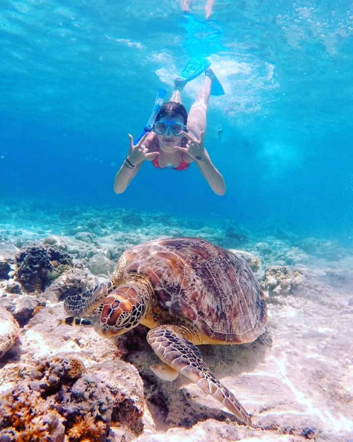 Snorkelling Gili Trawangan, Gili Air & Gili Meno from Lombok - Time on the Water vs. Time on Shore: A Realistic 8-Hour Day