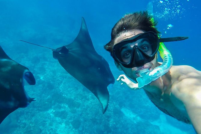 Snorkelling in Nusa Penida - Manta Point - Stop-by-stop: Neptune base, Kelingking area, then Manta Point and Crystal Bay
