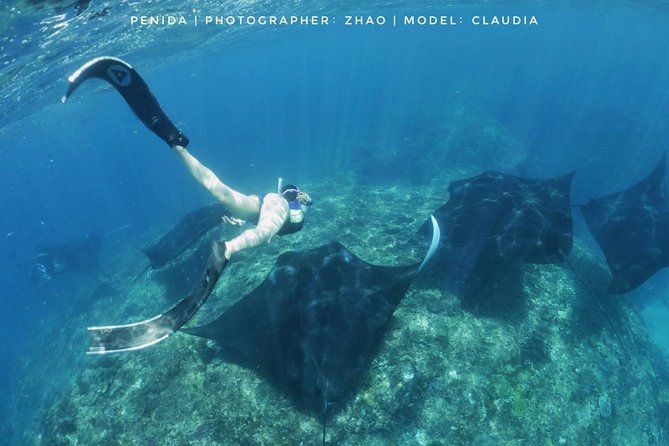 Snorkelling in Nusa Penida - Manta Point - Who this tour is best for