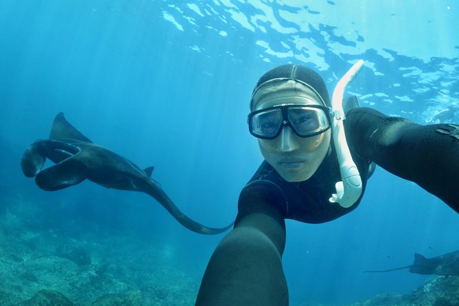 Snorkelling in Nusa Penida - Manta Point - Getting from Bali to Penida: the boat-day rhythm from Sanur