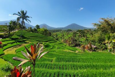 Solo or Group Tour - 10 Hours, 5 Persons Max - Henni Feronica’s Planning Touch (And Why It Matters)