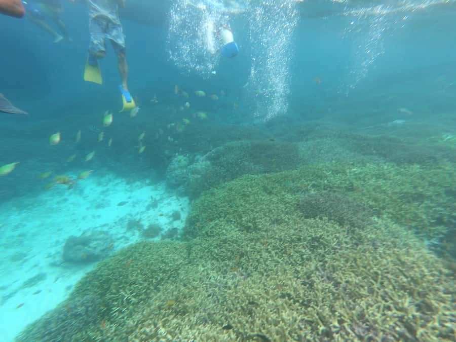 SouthWest Secret Gili,Gili Layar,Gili Gede&Gili Rengit - Quick reasons this Southwest Secret Gili day is worth your time