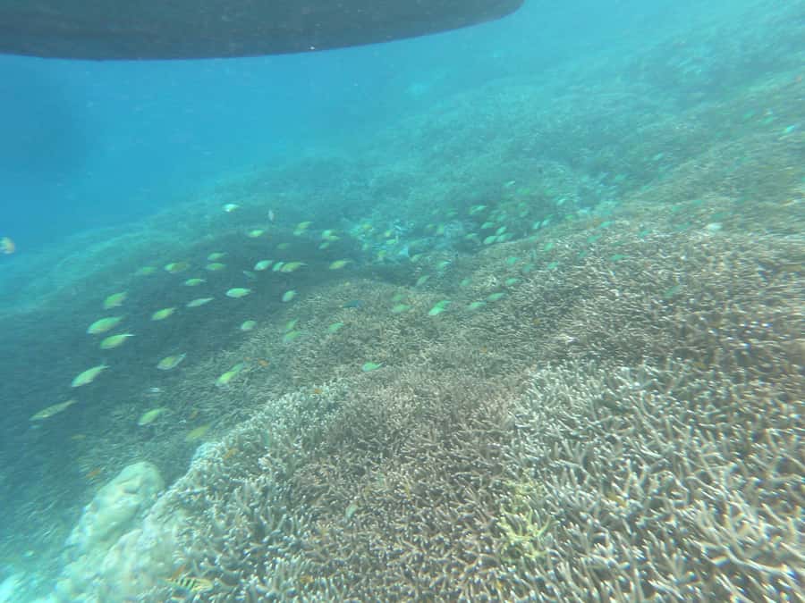 SouthWest Secret Gili,Gili Layar,Gili Gede&Gili Rengit - Price and value: what $63 buys you in real-world comfort