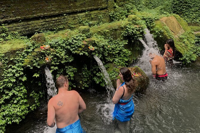 Spiritual Cleansing Ritual and Shamanic Healing in Bali - Tegalalang Rice Terrace: Easy Walking, Great Detail, Good Photos