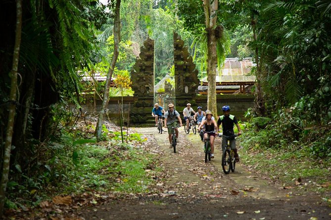 Spiritual Journey with private purification ceremony, local priest - Ubud - Key highlights worth planning for