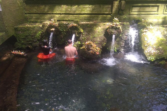 Spiritual Journey with private purification ceremony, local priest - Ubud - Meeting a Local Priest or Healer (Balian) After the Cleansing