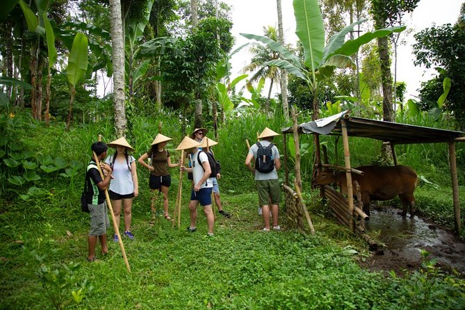 Spiritual Journey with private purification ceremony, local priest - Ubud - Price and What Makes It Good Value at $120