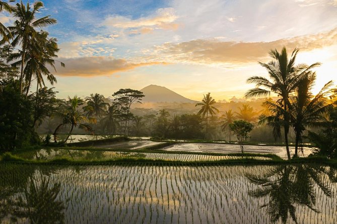 Spiritual Journey with private purification ceremony, local priest - Ubud - Tips for a Smooth Day: Bikes, Sarongs, and Getting Wet