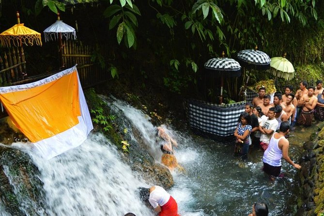 Spiritual Purification and Local Healer Visit Tour (ALL INCLUDED) - Ubud’s Local Healer Session: Personal Energy Work, Not Just Small Talk