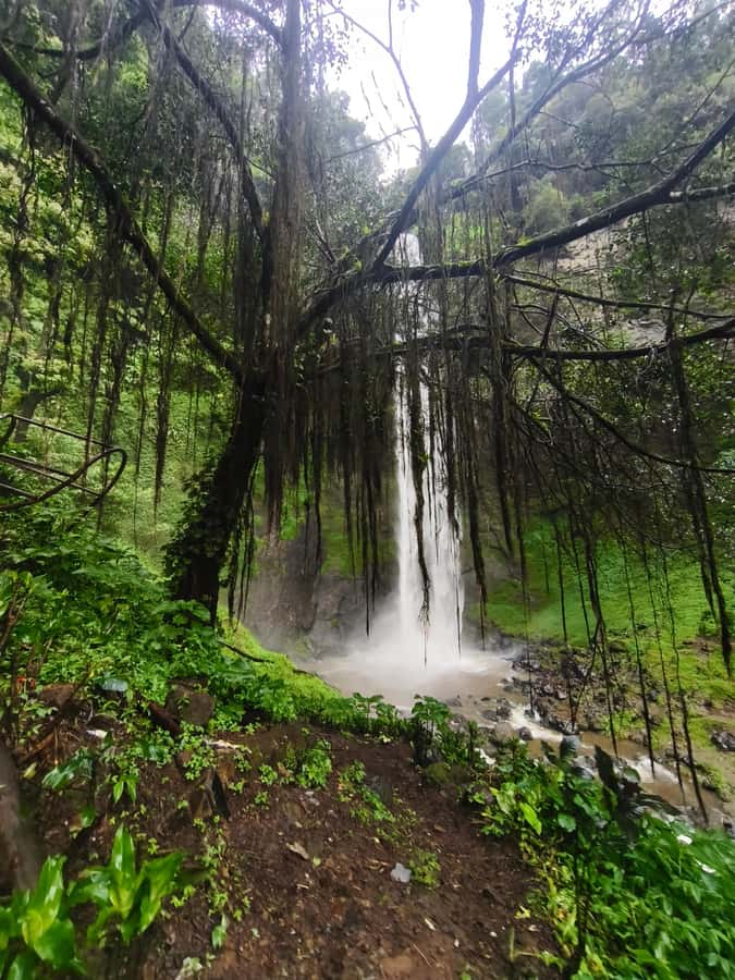 Start 10am Bandung Group Tour Volcano, Waterfalls, Hotspring - Hot springs: warm water, a real reset for your body