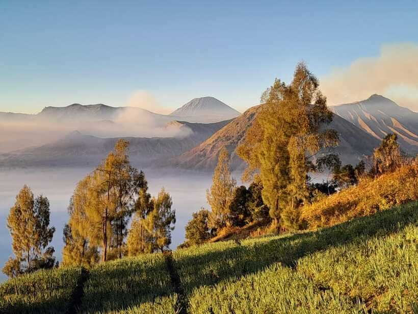 Start From Surabaya: Mount Bromo Sunrise Shared Guided Tour - Breakfast and the long-day rhythm: when you’ll eat matters