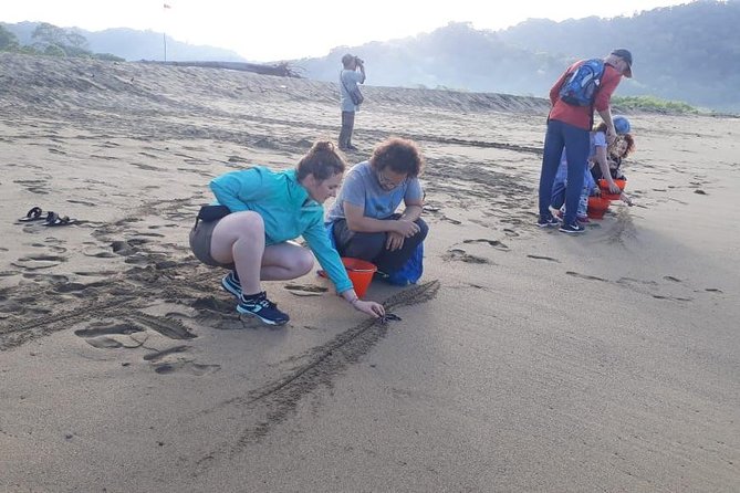 Sukamade Adventure -Turtle Beach Tour - Should you book Sukamade Adventure with Osing Vacation?