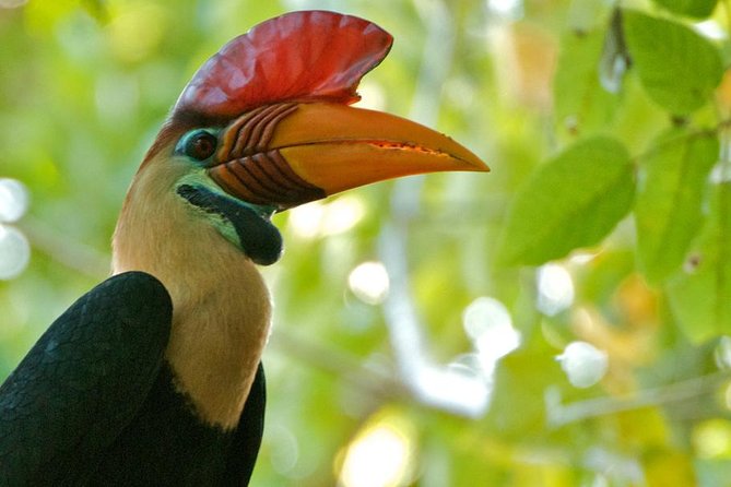 Sulawesi Tangkoko National Park Private Tour - Price and value: what you’re really paying for at $99