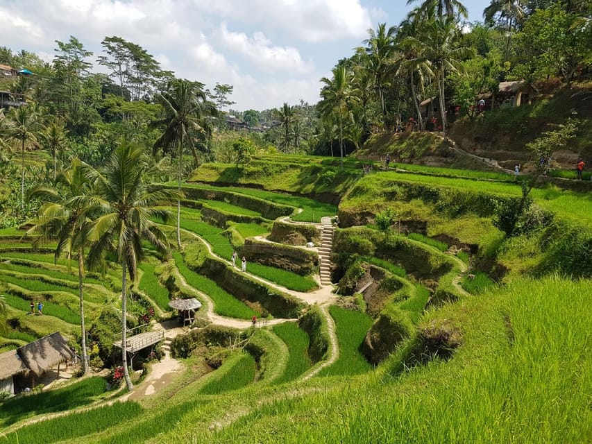 Sunrise Café and Morning Yoga Class - Rice terraces and irrigation: seeing agriculture as a system