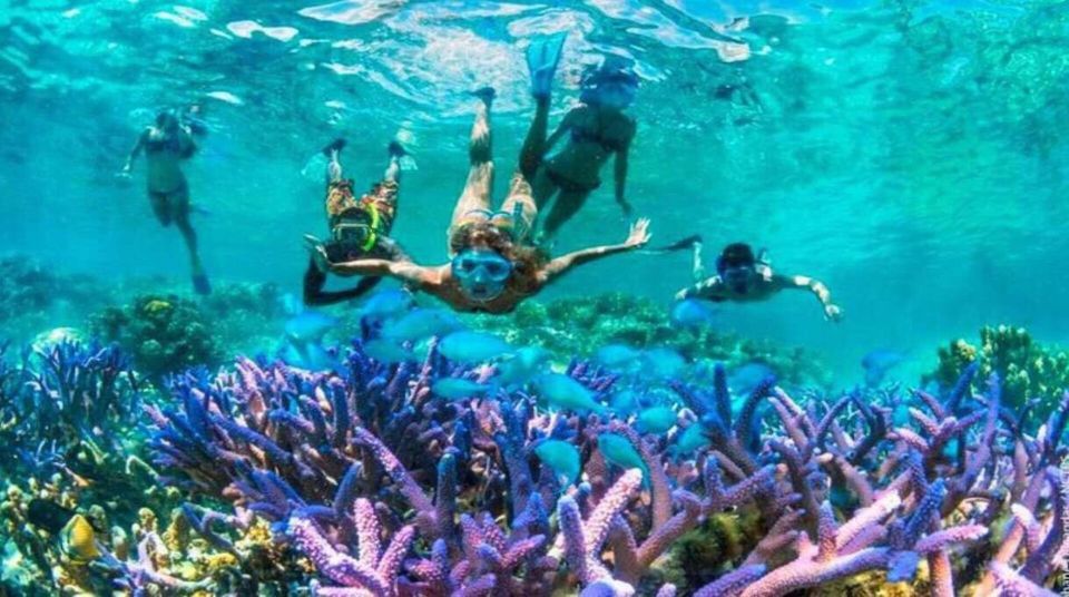 sunset snorkling trip - Coral reef time: Virgin Coral Garden and what to watch for