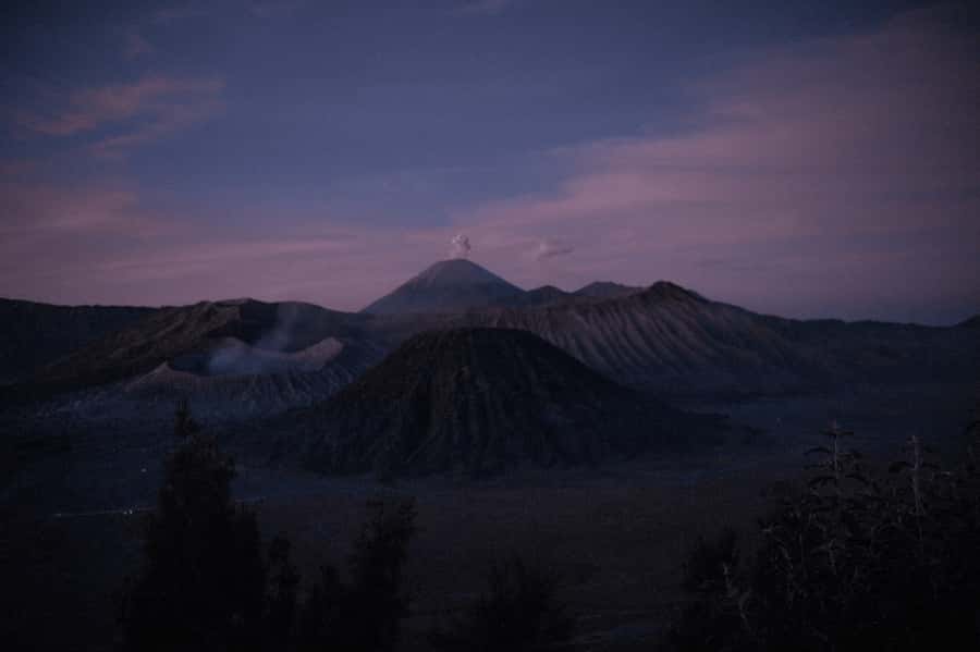 Surabaya/Malang : Mount Bromo and Tumpaksewu Waterfall Tour - The Guide Factor: Why English Support Changes the Experience