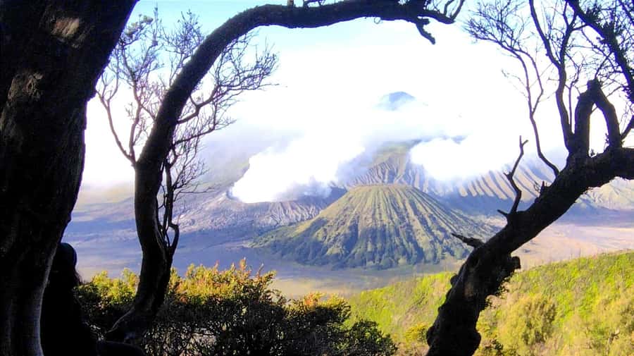 Surabaya or Malang : Bromo, Tumpaksewu waterfall in 2 days - Key points worth knowing