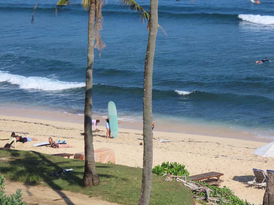 Surf Lessons in Uluwatu for All Levels - Who this lesson is best for (and who should skip it)