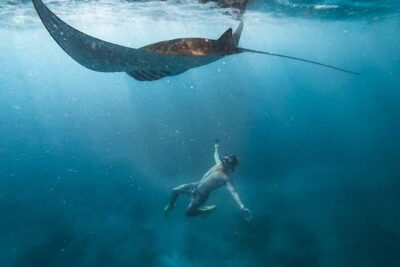 Swim with Manta Rays in Nusa Penida - ALL inclusive - Price and timing: does $98 make sense?