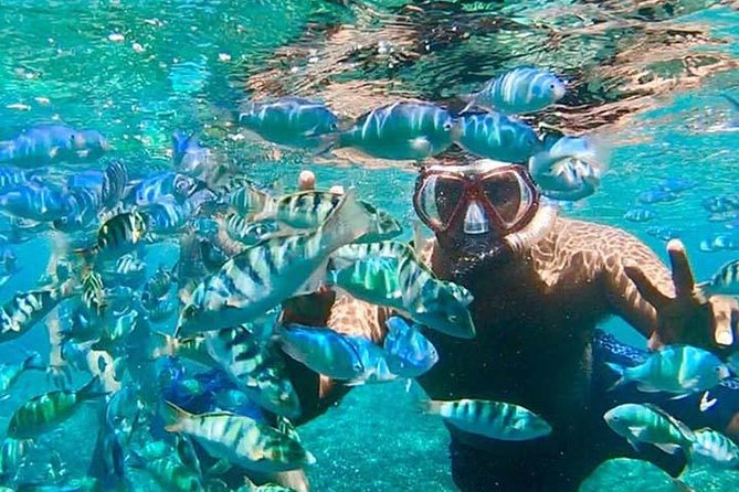 Swim with Manta Rays in Nusa Penida - ALL inclusive - Your snorkeling route: Manta Bay, Gamat Bay, Wall Bay, Crystal Bay
