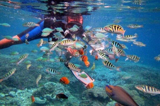 Swim with Manta Rays: Snorkeling Day Trip from Bali - Should You Book If You’re Not a Strong Snorkeler?