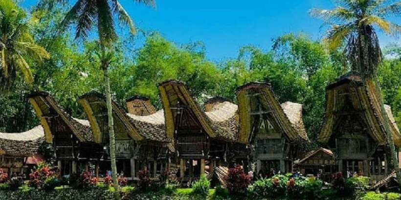 Tana Toraja: Exploring the Enchanting Heritage of Toraja - Kambira baby graves at 11:45 AM: the stop you’ll remember longest