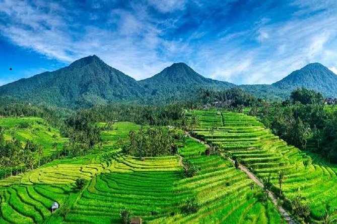 Tanah Lot - Jatiluwih (UNESCO) - Beratan lake -Hidden hill (Wanagiri)-FREE WI-FI - Practical Tips to Get the Best Day (Without Stress)