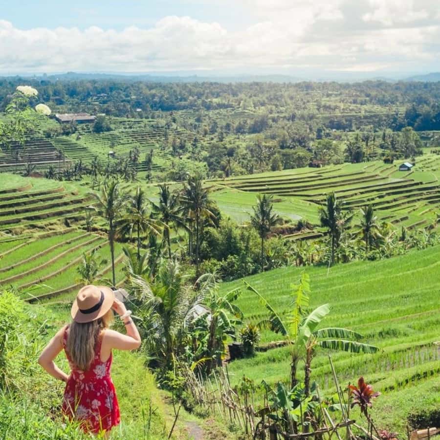 Tanah Lot-Nung Nung Waterfall-Jatiluwih and Bedugul - Key Highlights You’ll Feel in This Day Trip