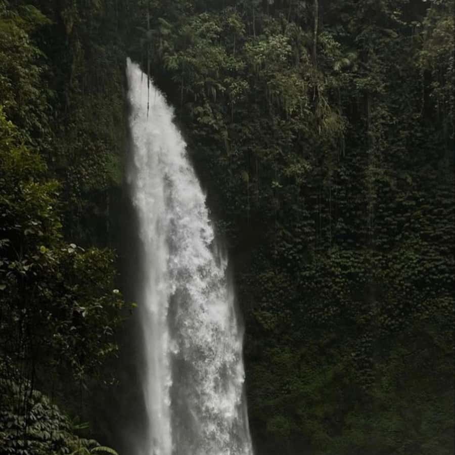 Tanah Lot-Nung Nung Waterfall-Jatiluwih and Bedugul - Bedugul and Danau Beratan: Lake Views Plus Pura Ulun Danu Beratan