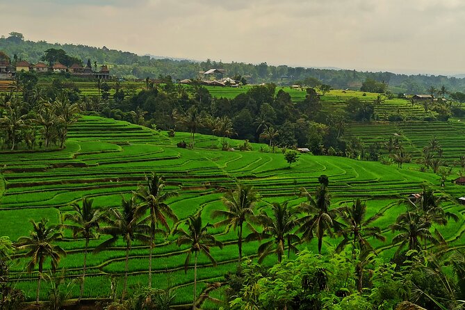 Tanah Lot Tour: Discover Bali’s Iconic Temple and Stunning Views - Stop 3: Lake Beratan and Ulun Danu Beratan’s Misty-Temple Setting