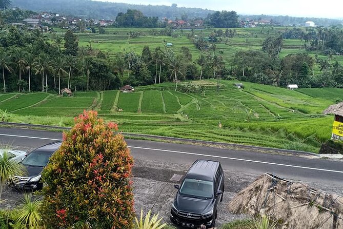Tanah Lot Tour & North Bali Tour : All-Inclusive Best Experience - Price and value for a full-day private North Bali tour