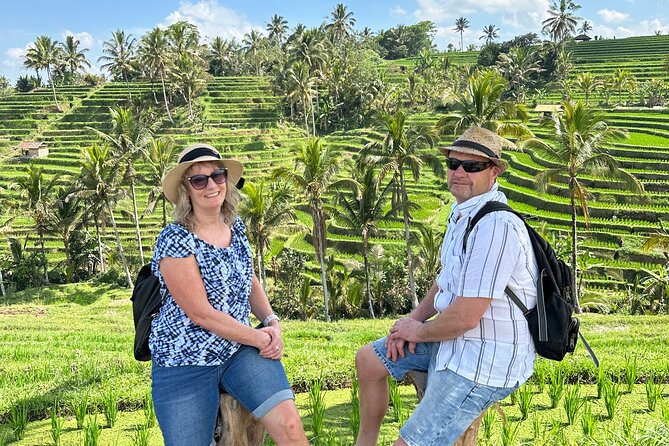 Tanah Lot Tour & North Bali Tour : All-Inclusive Best Experience - Jatiluwih Rice Terraces: the UNESCO stop you actually understand