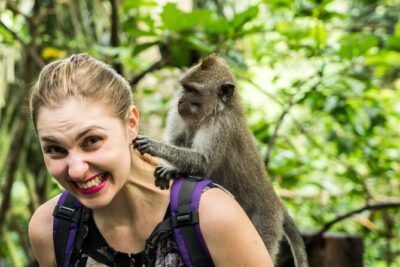 Tanah Lot Tour with Ubud Monkey Forest, Rice Terraces, and Waterfalls - Tegenungan Waterfall: a short stop with real scenery payoff