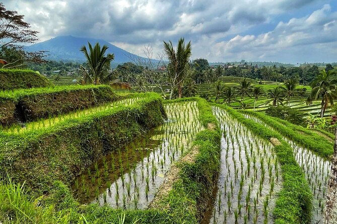 Tanah Lot - Ulun Danu Beratan Temple - Scenic Countryside Tour - Ulun Danu Bratan on Beratan Lake: Temple Views with Hill-Backed Drama
