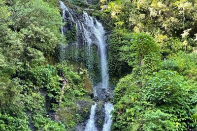 Tanah Lot - Ulun Danu Beratan Temple - Scenic Countryside Tour - Banyumala Twin Waterfalls: Jungle Nature Time (and How to Enjoy It)