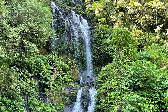Tanah Lot - Ulun Danu Beratan Temple - Scenic Countryside Tour - Banyumala Twin Waterfalls: Jungle Nature Time (and How to Enjoy It)